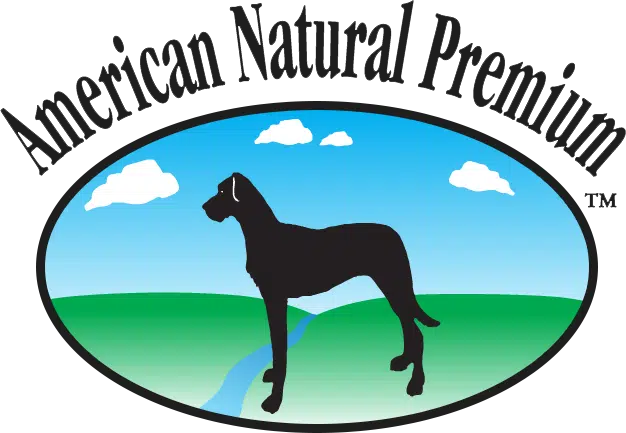 website logo