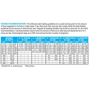 puppy-lg-breed_feeding