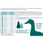 FDduck_feed